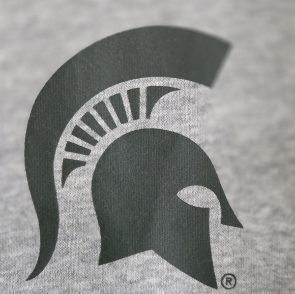 * Nike Mens Michigan State Spartan Primary Stack Crewneck Sweatshirt Gray Large - Picture 11 of 16